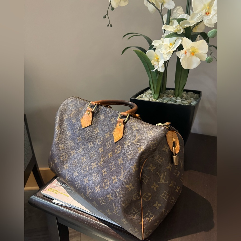 Louis Vuitton Classic Monogram Speedy 30